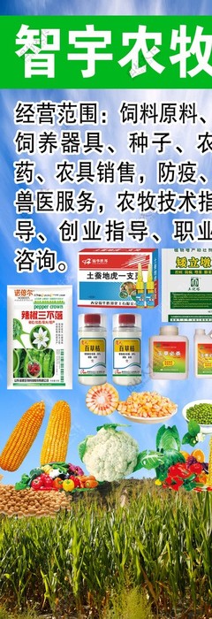 專業(yè)獸醫(yī)工具圖鑒 編號26937282素材的深度解讀與應(yīng)用